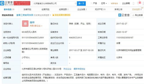 電腦圖文設(shè)計制作 從概念到成品的數(shù)字化藝術(shù)之旅