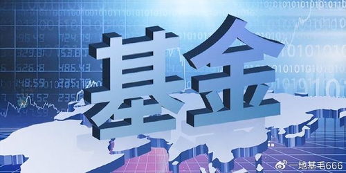 招商基金侯昊 為何此時(shí)放開基金限購？探尋企業(yè)自有資金入市的新機(jī)遇