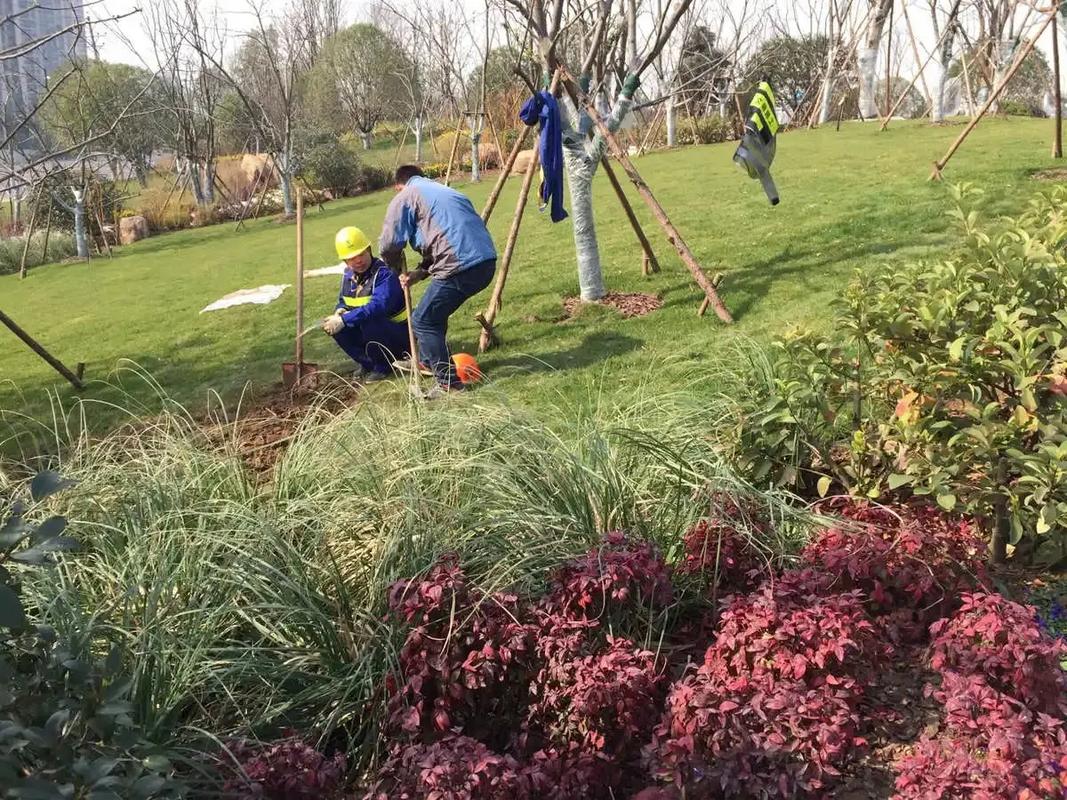 邊坡綠化工程 專業施工，筑造綠色家園的生態屏障